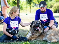 Adoptuj Warszawiaka  Wydarzenie promujące adopcję zwierząt. Organizator: Schronisko dla Bezdomnych Zwierząt "Na Paluchu". 18 sierpnia 2019, Park Raszyński w Raszynie. : park raszyński, adoptuj warszawiaka, na paluchu, schronisko dla zwierząt, centrum warszawy, raszyn
